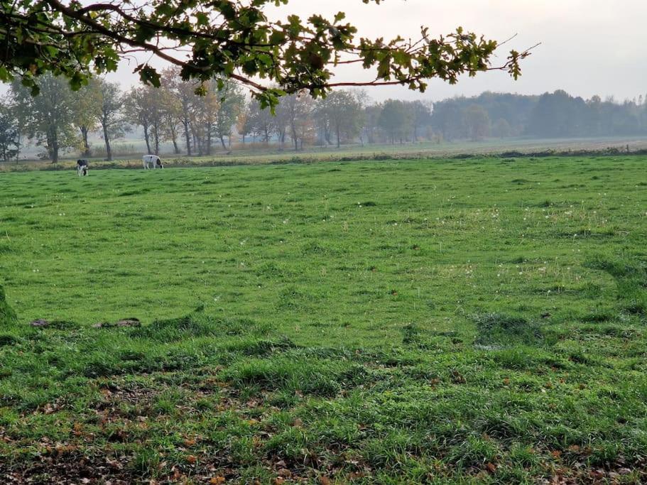 Gemuetliche Wohnung Direkt Am Kuestenkanal! Wardenburg Buitenkant foto